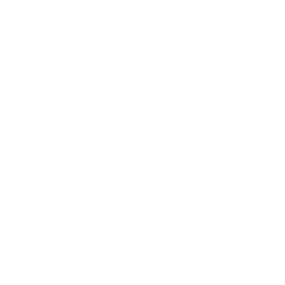 成大音響