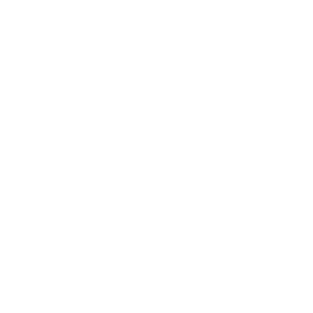 The Wknd